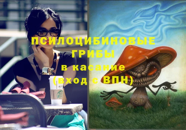 прущие крисы Коряжма