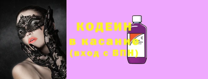 ГАЛЛЮЦИНОГЕННЫЕ ГРИБЫ Костерёво