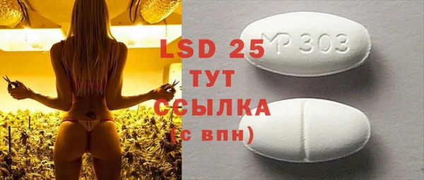 ГАЛЛЮЦИНОГЕННЫЕ ГРИБЫ Костерёво