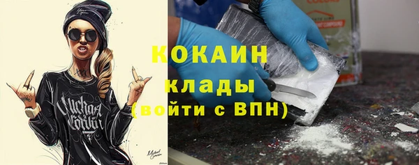 ГАЛЛЮЦИНОГЕННЫЕ ГРИБЫ Костерёво